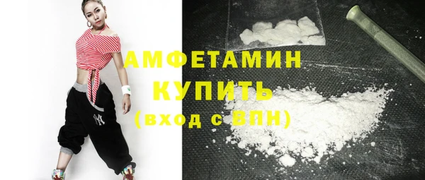мет Алексин