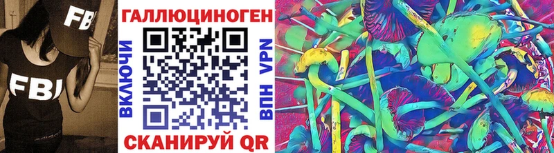 mega маркетплейс  где купить наркоту  Новокубанск  Галлюциногенные грибы Psilocybine cubensis 